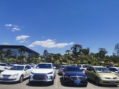 -罗红摄影艺术馆