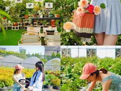 -上海山野camping·户外天幕烧烤·团建拓展营地