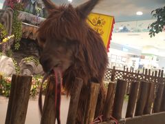 -开元商城(西旺店)