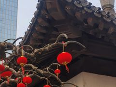 -团结湖公园
