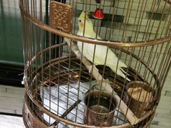 -小厨娘淮扬菜(六合欢乐港店)