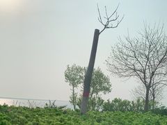-金梦海湾浴场