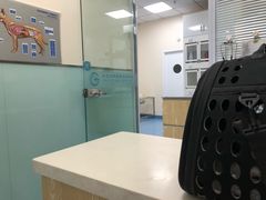 -瑞派·关忠动物医院·异宠专科·犬猫肿瘤·皮肤专科(望京店)