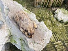 -黔灵山公园-南门售票处