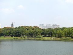-尚贤河湿地