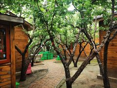 -香木香羊(小汤山店)