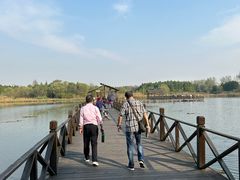 -溱湖国家湿地公园