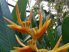 -华南国家植物园-售票处