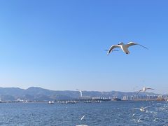 -海埂大坝