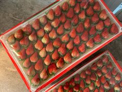 -大连果菜批发市场