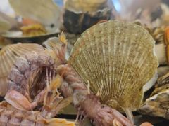 -四海蒸鲜蒸汽海鲜自助(北戴河店)