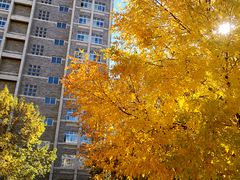 -辽宁大学(崇山校区)