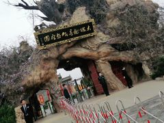 -大槐树寻根祭祖园