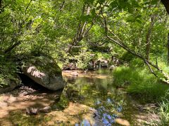 -玉渡山自然风景区