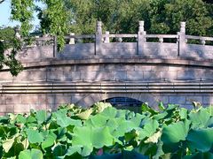 -莲湖公园