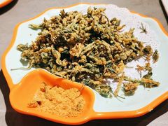 -向外鱼乐·土菜·虹鳟鱼