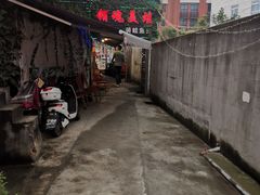 -销魂美蛙鱼头火锅(上海首店)