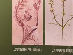 -辽宁古生物博物馆