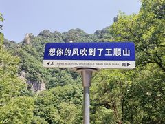 -王顺山国家森林公园