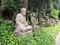 -武陵山森林公园