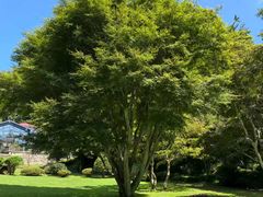 -艾溪湖湿地公园