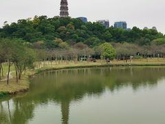 -顺峰山公园
