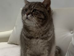 -天使咖啡(兴新街店)