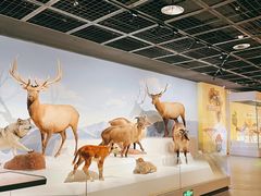 -陕西自然博物馆