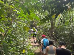 -武吉知马自然保护区