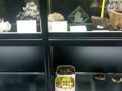 -志强陨石馆(双季花艺店)