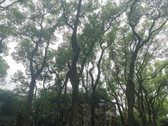 -天一阁博物院