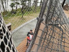 -枫香湖儿童公园