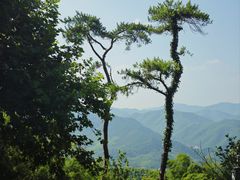 -莫干山风景区