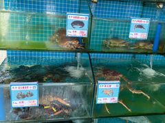 -琼大师东方烤乳猪(亚特兰蒂斯店)
