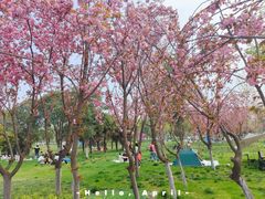 -汉长安城未央宫国家考古遗址公园