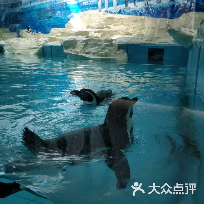 北京動物園景點圖片-北京動物園-大眾點評網