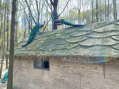 -昆山城市生态森林公园