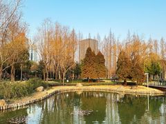 -新虹桥中心花园
