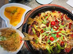 -老板恋上鱼(恒隆广场店)