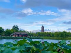 -西海子公园