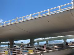 -演武大桥观景平台