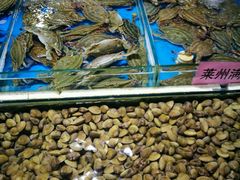 -济南海鲜大市场