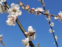 -广州市流溪河国家森林公园