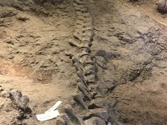 -世界恐龙谷景区