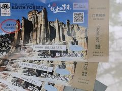 -元谋土林景区(物茂土林)