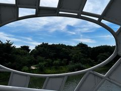 -同里国家湿地公园