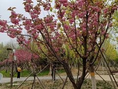 -回龙观体育文化公园