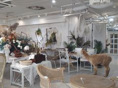 -共舞时光猫咖·狗咖(新街口店)