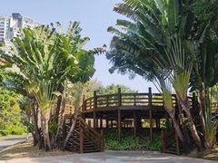 -深圳国际园林花卉博览园