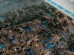 -绿岛港轩海鲜烤肉涮锅自助餐厅